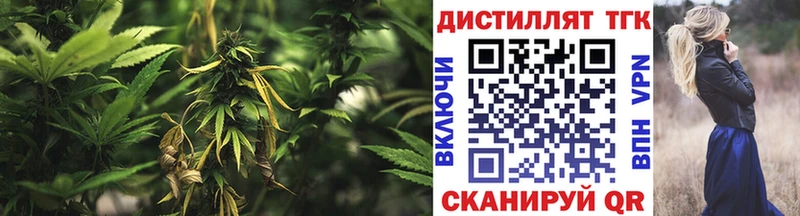 Дистиллят ТГК концентрат  Купить где  Тамбов 