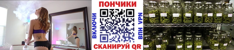 Бошки марихуана THC 21%  Купить закладки  Тамбов 